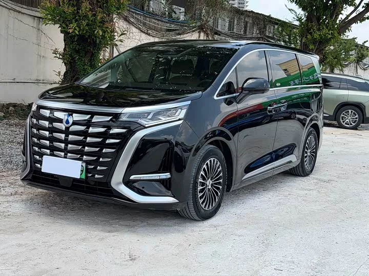 Denza D9