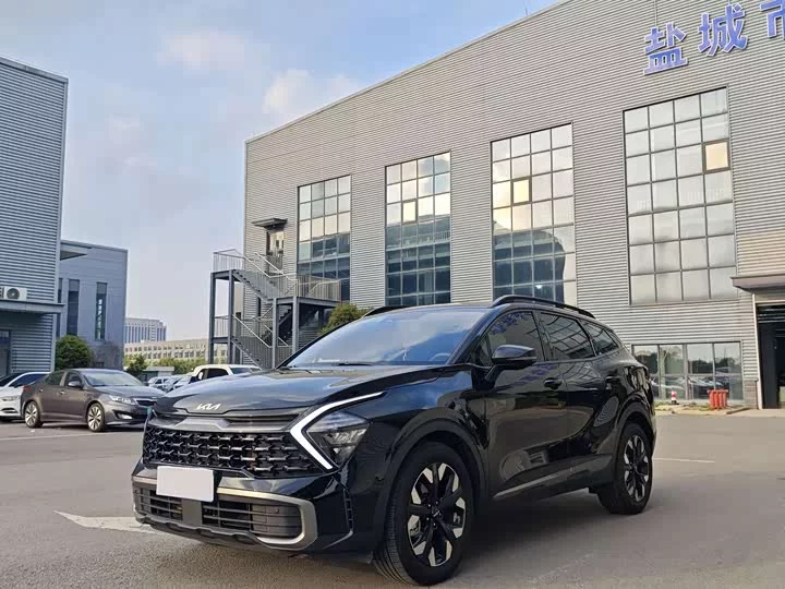 Kia Lion Platinum Expands the Boundary