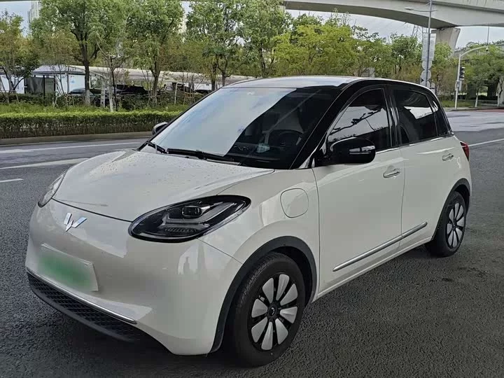 Wuling Bingo