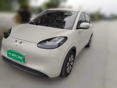 Wuling Bingo