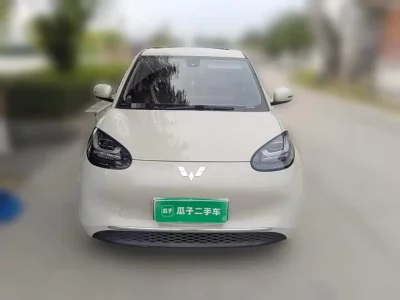 Wuling Bingo