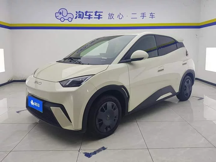 BYD Seagull