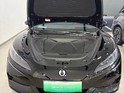 Denza Z9GT