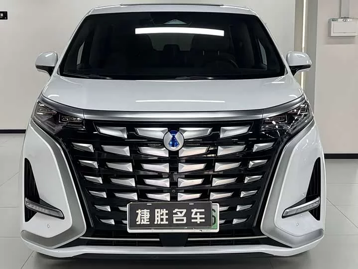 Denza D9