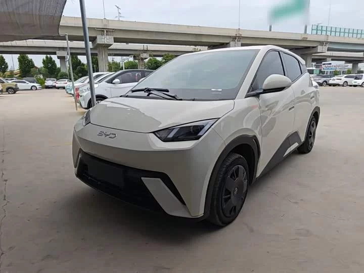 BYD Seagull
