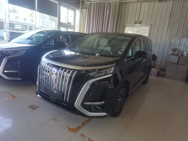 Denza D9