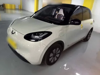 Wuling Bingo