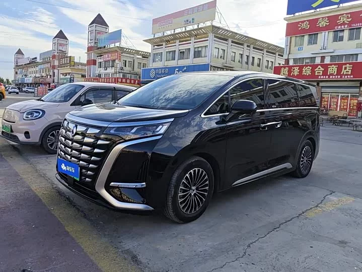 Denza D9