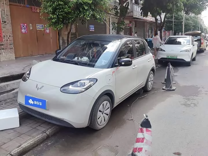 Wuling Bingo
