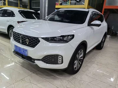 Wey VV6