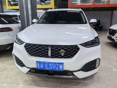 Wey VV6