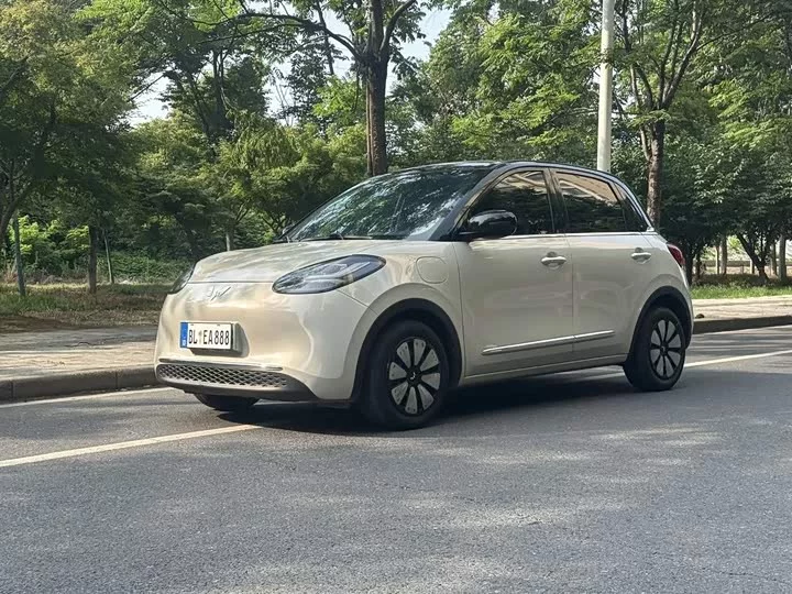 Wuling Bingo