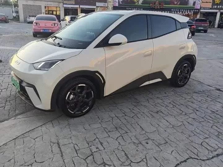 BYD Seagull