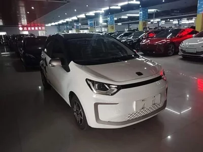 JAC (Sihao) Flower Fairy