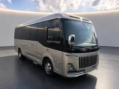 Hongqi Golden Sunflower Guoyue, 2024 — купить с доставкой из Китая