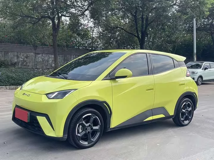 BYD Seagull