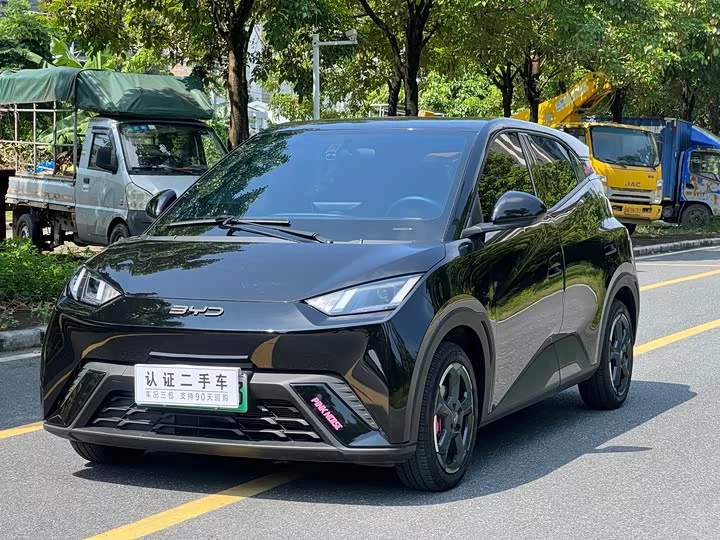 BYD Seagull