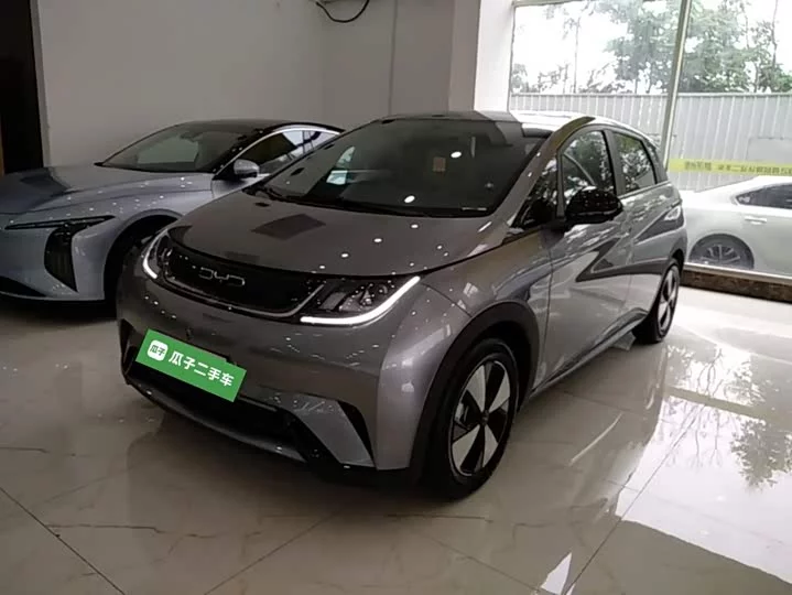 BYD Dolphin