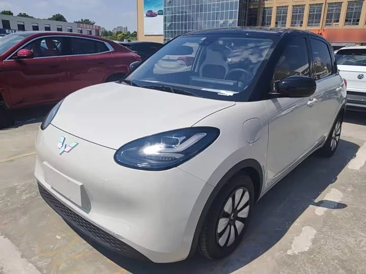 Wuling Bingo