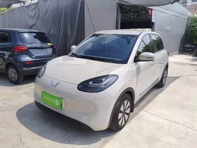 Wuling Bingo