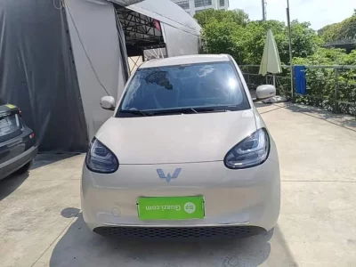 Wuling Bingo