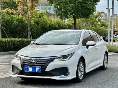 Toyota Asiatic lion