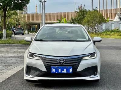 Toyota Asiatic lion