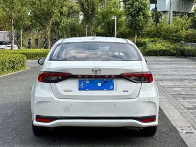 Toyota Asiatic lion