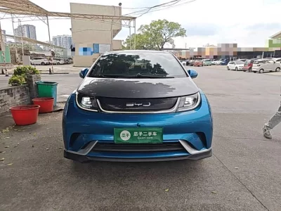 BYD Dolphin