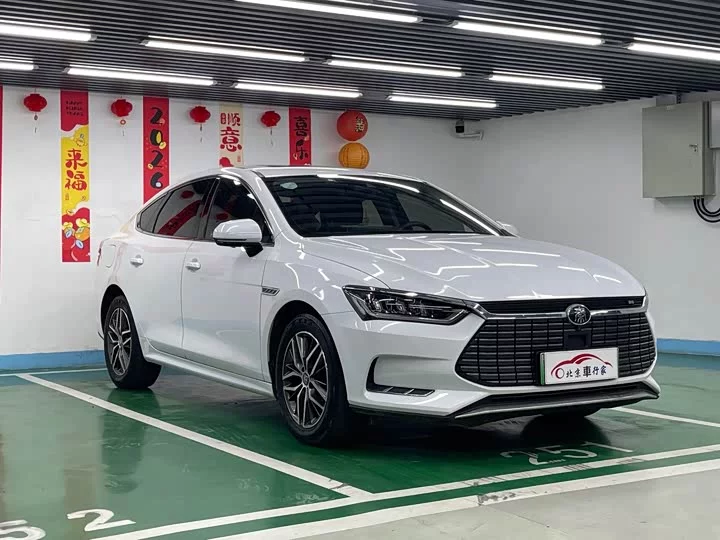 BYD Qin Pro New Energy