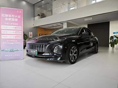 Hongqi E-QM5