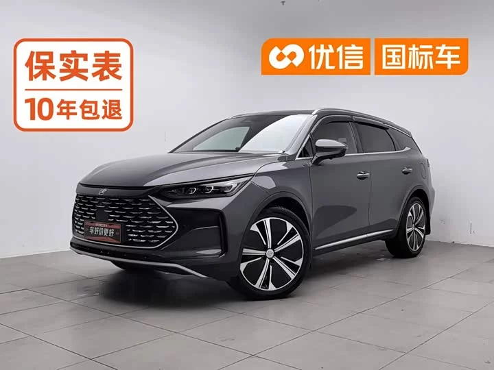 BYD Tang New Energy