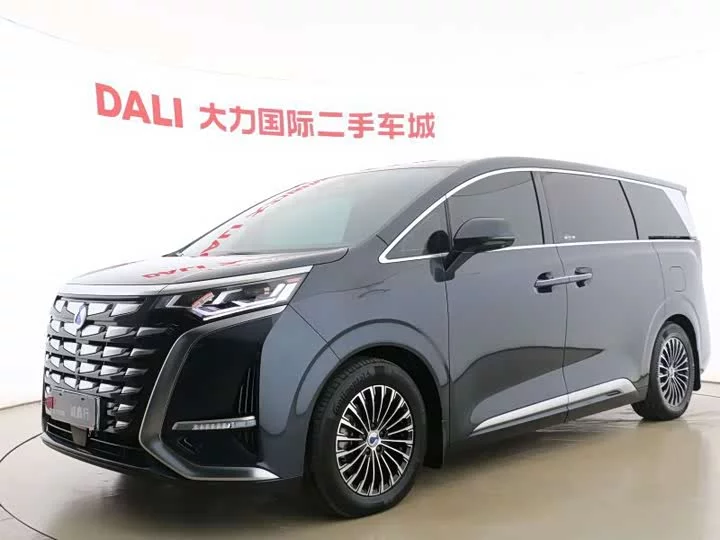 Denza D9