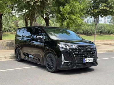 Denza D9