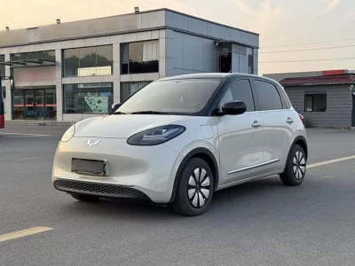 Wuling Bingo