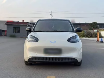 Wuling Bingo