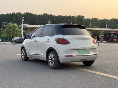Wuling Bingo