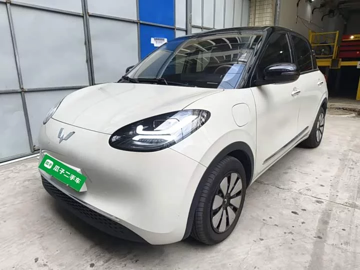 Wuling Bingo