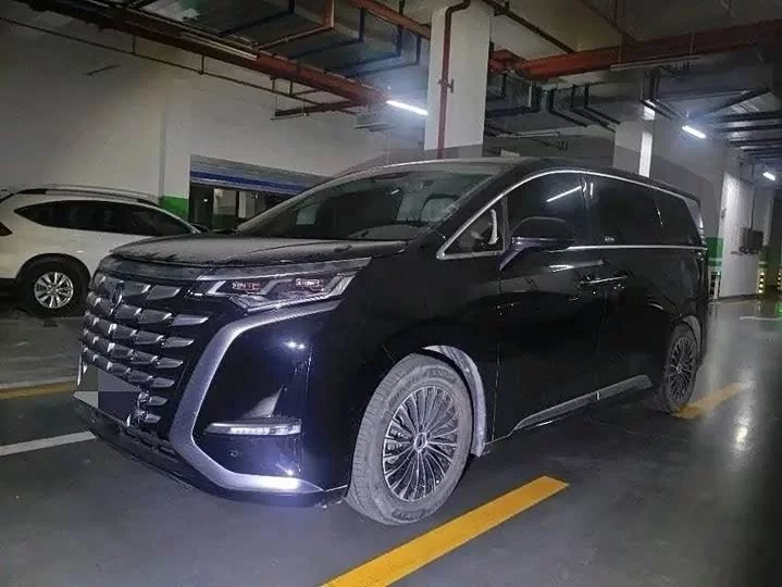 Denza D9