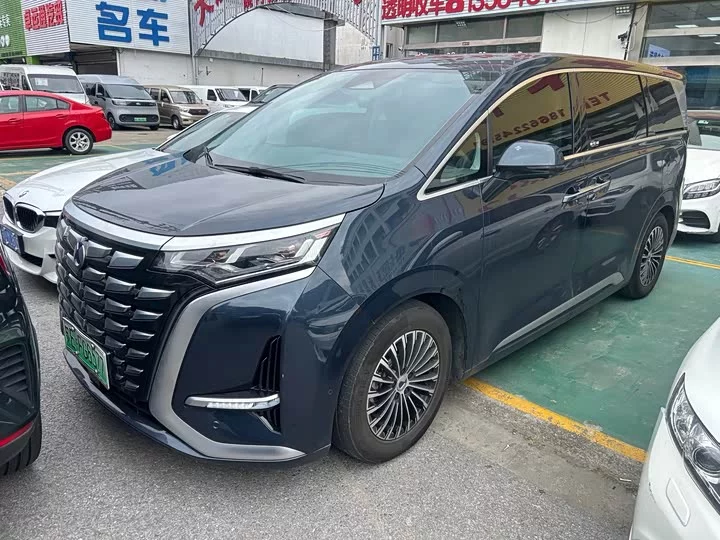 Denza D9