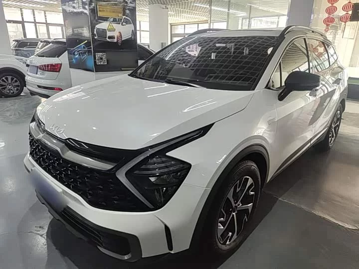 Kia Lion Platinum Expands the Boundary