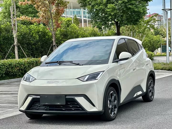 BYD Seagull