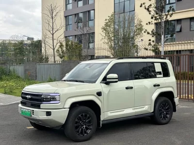 BYD Leopard Leopard 5