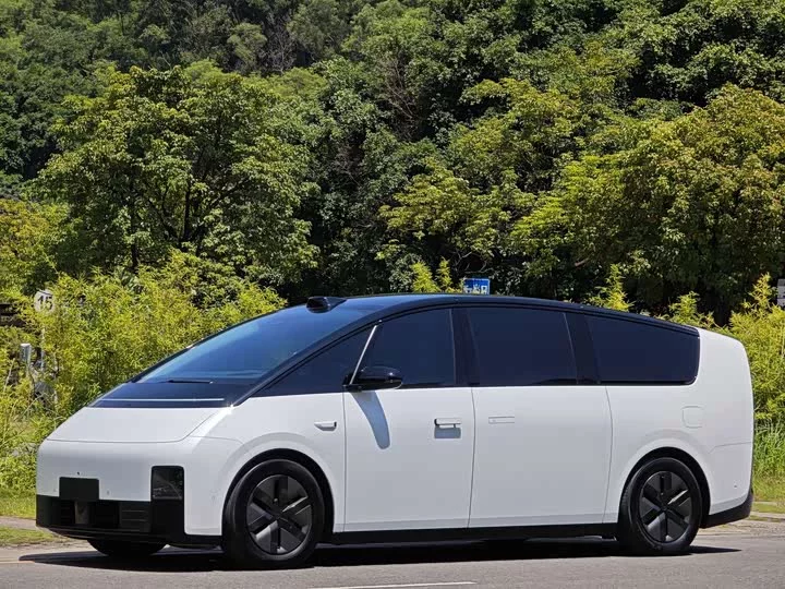 Lixiang MEGA