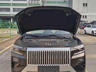 ZEEKR 8X