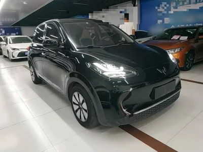 Wuling Bingo