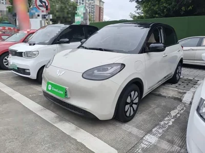 Wuling Bingo