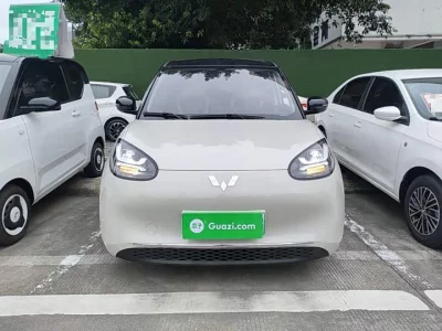 Wuling Bingo