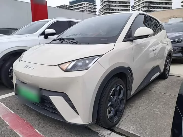 BYD Seagull