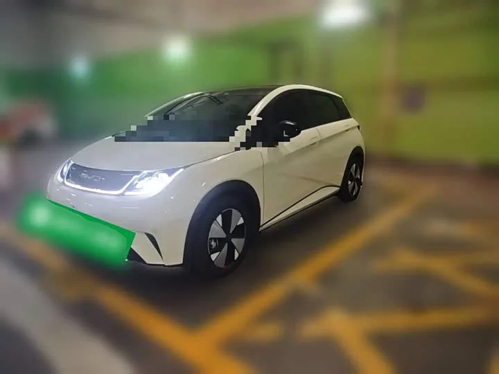 BYD Dolphin